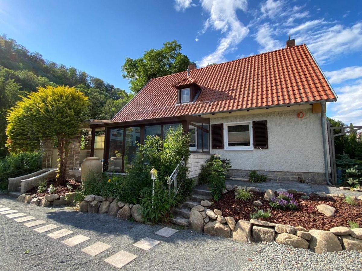 Traumhaus Thale Mit Sauna Und Kamin Dış mekan fotoğraf