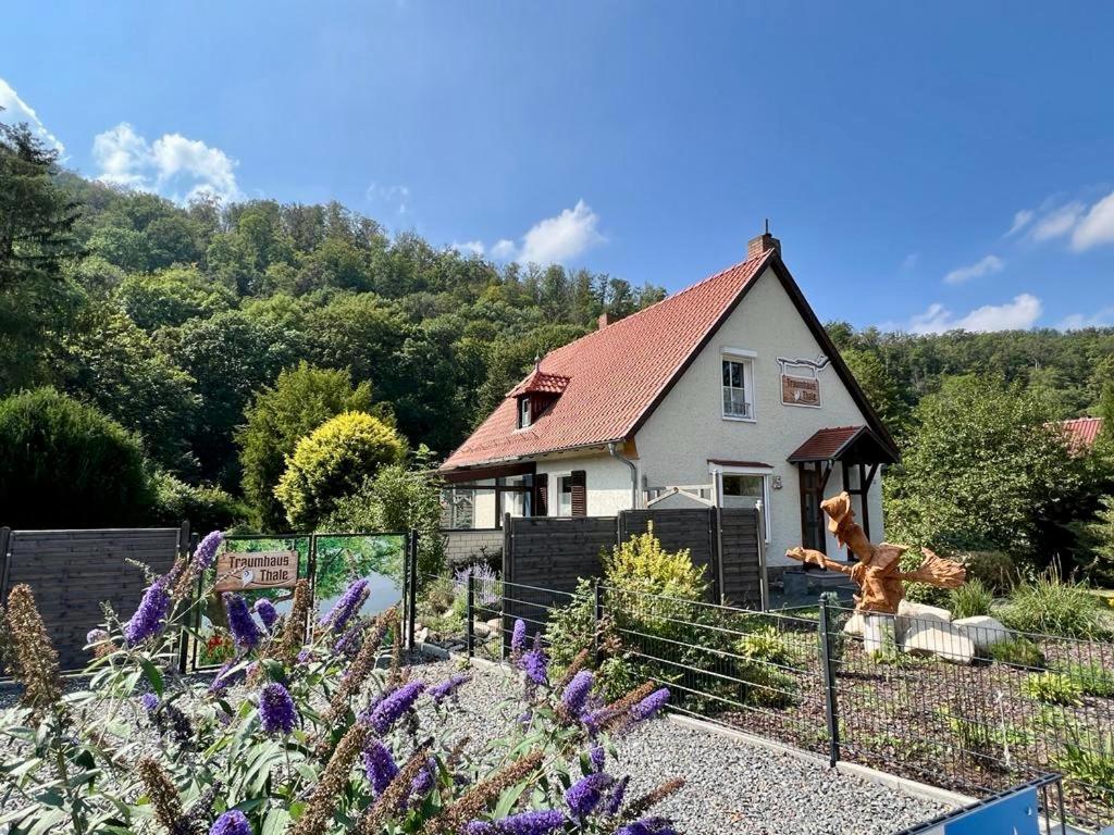 Traumhaus Thale Mit Sauna Und Kamin Dış mekan fotoğraf